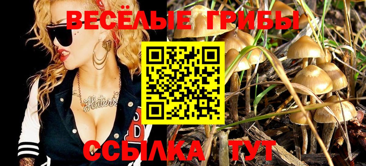 Галлюциногенные грибы Magic Shrooms Артёмовский