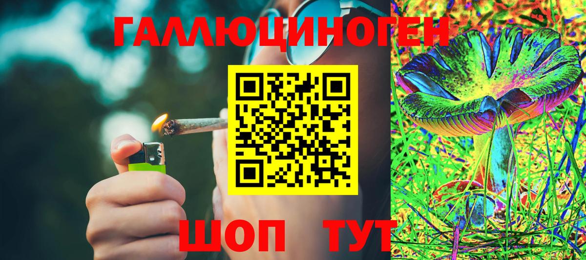Артёмовский  Псилоцибиновые грибы GOLDEN TEACHER  Вход с VPN 